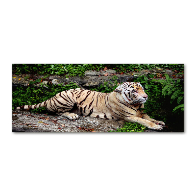 Pintura en acrílico horizontal Tigre en una roca