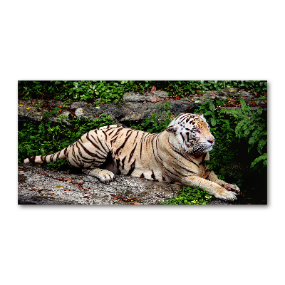 Pintura en acrílico horizontal Tigre en una roca