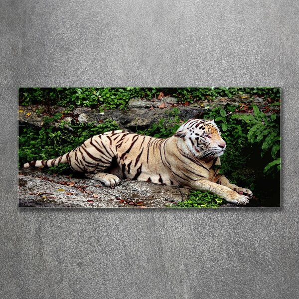 Pintura en acrílico horizontal Tigre en una roca