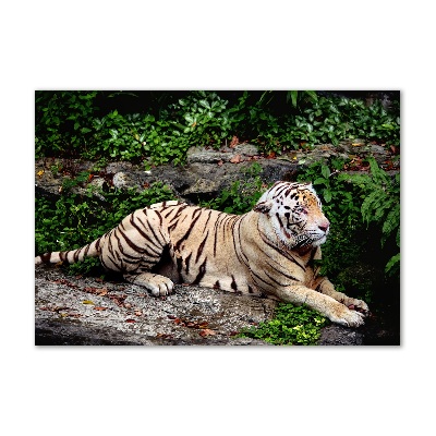 Pintura en acrílico horizontal Tigre en una roca