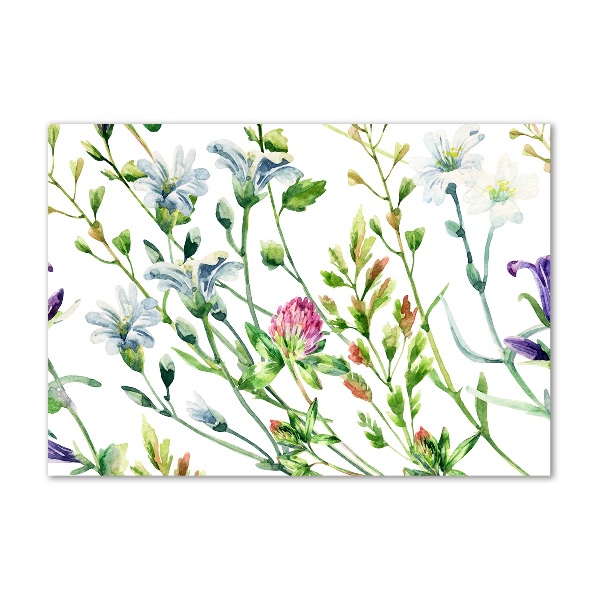 Cuadro metacrilato horizontal flores silvestres