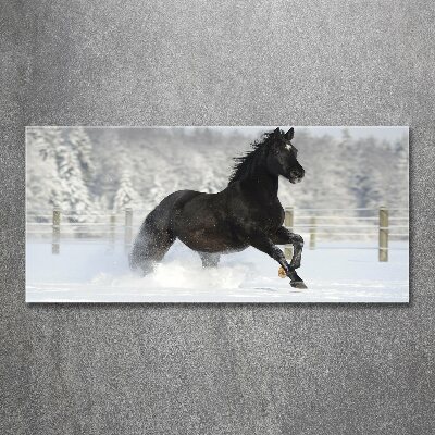 Cuadro acrílico horizontal Un caballo galopando en la nieve