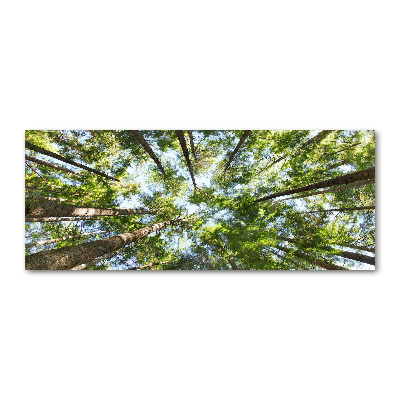 Cuadro metacrilato horizontal Corona del árbol