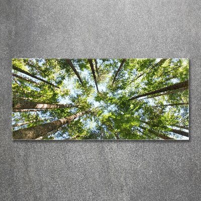 Cuadro metacrilato horizontal Corona del árbol