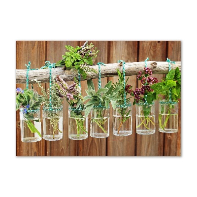 Obraz zdjęcie szkło akryl Zioła w słoikach