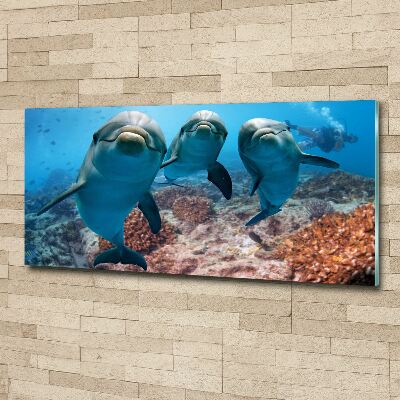 Cuadro metacrilato horizontal Delfines