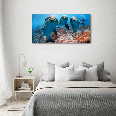 Foto obraz na scianę akrylowy Delfiny