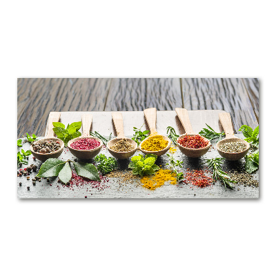 Cuadro acrílico horizontal Especias de colores