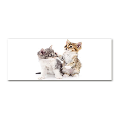Cuadro acrílico horizontal Dos pequeños gatos