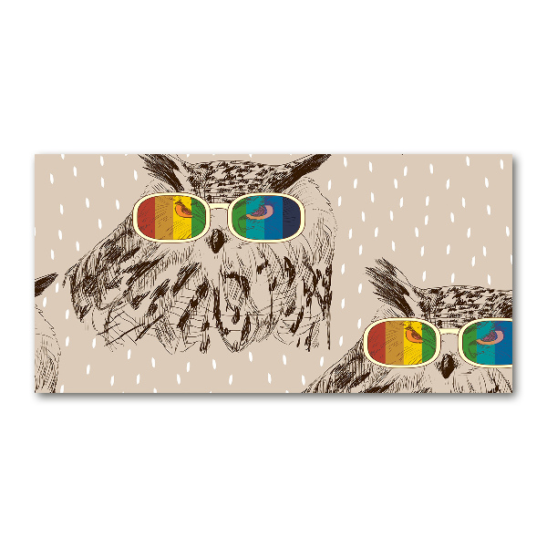 Cuadro metacrilato horizontal Búhos con gafas