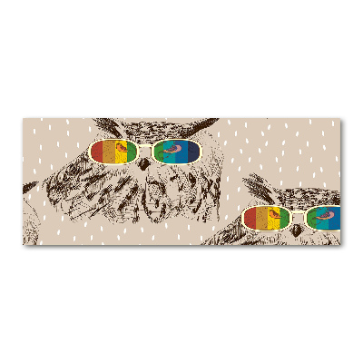 Cuadro metacrilato horizontal Búhos con gafas