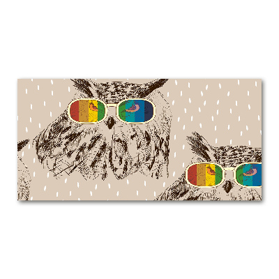 Cuadro metacrilato horizontal Búhos con gafas