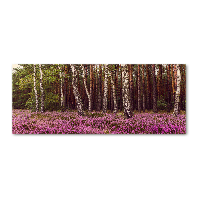 Foto obraz szkło akryl Wrzosowisko