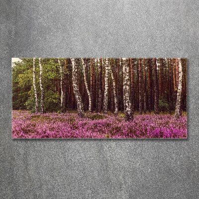 Cuadro metacrilato horizontal Páramo