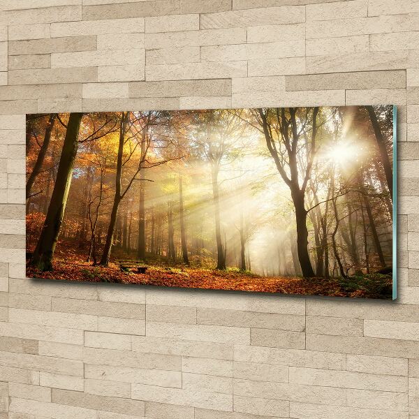 Foto en metacrilato horizontal Niebla en el bosque