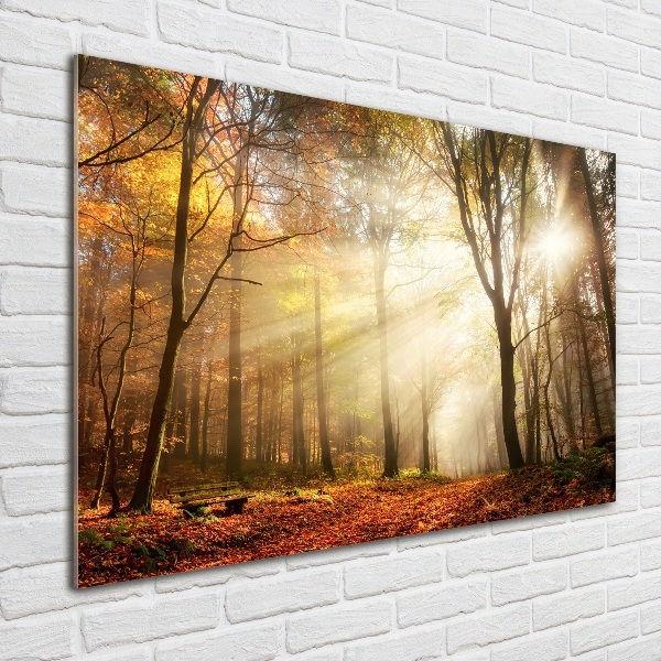 Foto en metacrilato horizontal Niebla en el bosque