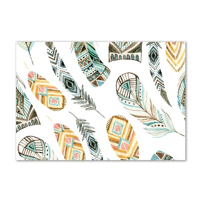 Cuadro metacrilato horizontal Plumas étnicas