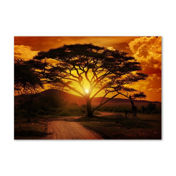 Cuadro acrílico horizontal África Occidental