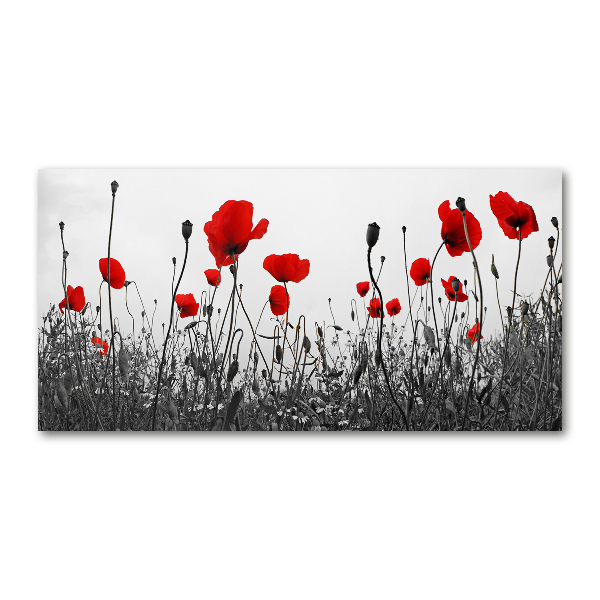 Cuadro acrílico horizontal Amapolas