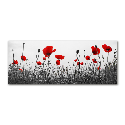Cuadro acrílico horizontal Amapolas