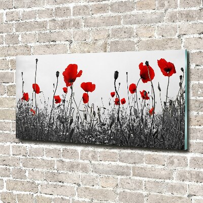 Cuadro acrílico horizontal Amapolas