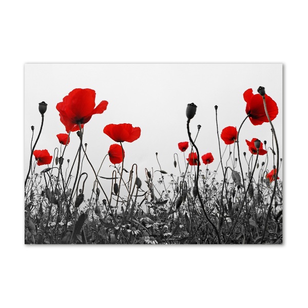 Cuadro acrílico horizontal Amapolas