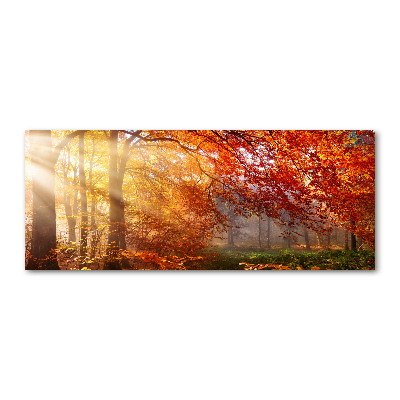 Cuadro metacrilato horizontal Bosque de otoño