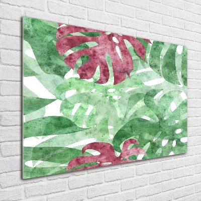 Obraz zdjęcie na ścianę akryl Monstera