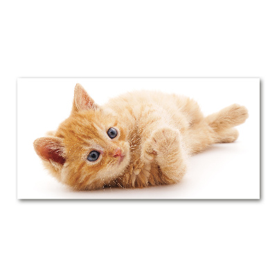 Foto en metacrilato horizontal Gato pelirrojo