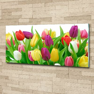 Pintura en acrílico horizontal tulipanes coloridos