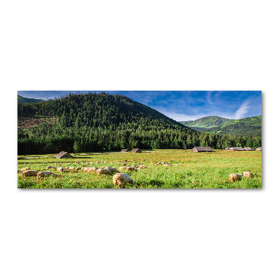 Cuadro acrílico horizontal Ovejas en los montes Tatra