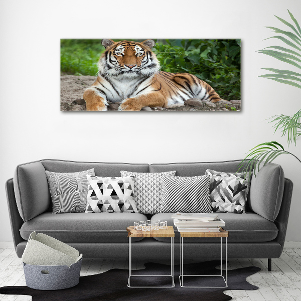Pintura en acrílico horizontal tigre siberiano