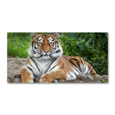 Pintura en acrílico horizontal tigre siberiano