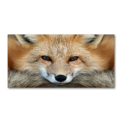 Cuadro metacrilato horizontal Zorro