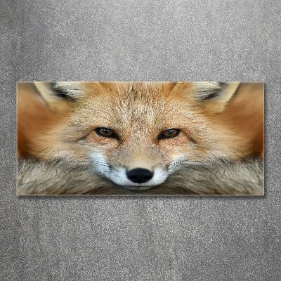 Cuadro metacrilato horizontal Zorro