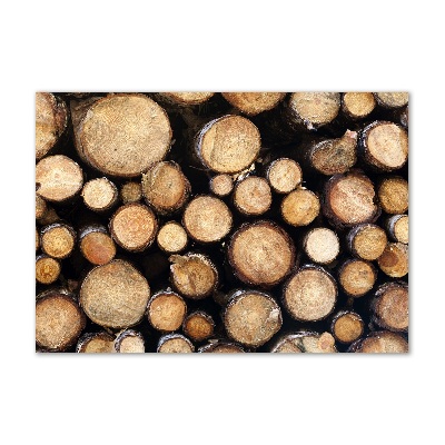 Foto en metacrilato horizontal Troncos de madera
