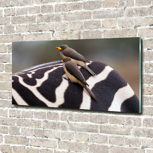 Foto obraz szkło akryl Ptaki i zebra