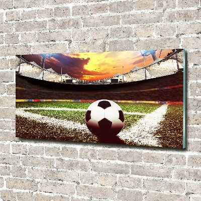 Foto obraz akryl Piłka na stadionie