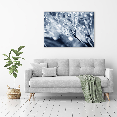 Pintura en acrílico horizontal semillas de diente de león