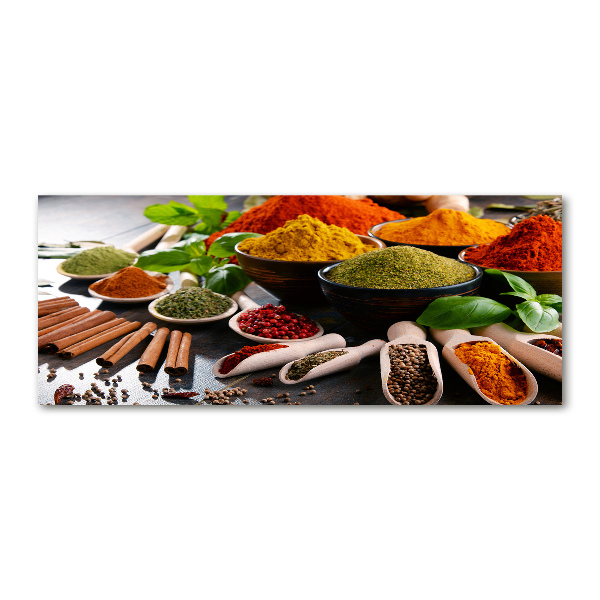 Pintura en acrílico horizontal Especias de colores