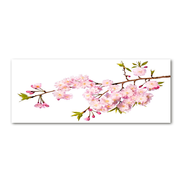 Foto en metacrilato horizontal Brezo