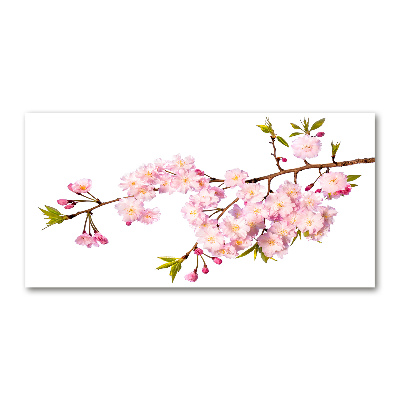 Foto en metacrilato horizontal Brezo