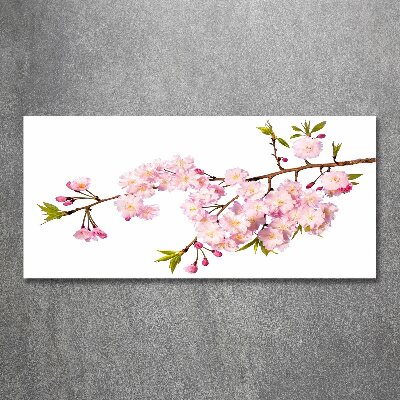 Obraz zdjęcie na ścianę akryl Dzika róża