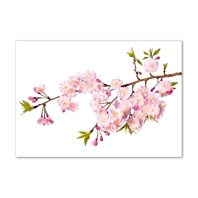 Foto en metacrilato horizontal Brezo