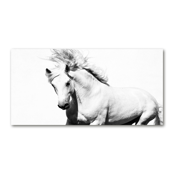 Pintura en acrílico horizontal Caballo blanco