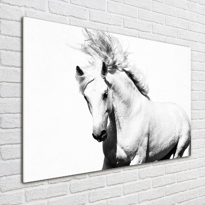 Pintura en acrílico horizontal Caballo blanco