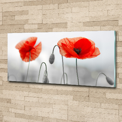 Pintura en acrílico horizontal Amapolas