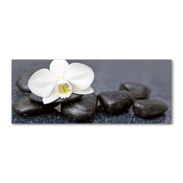 Cuadro metacrilato horizontal Orquídea