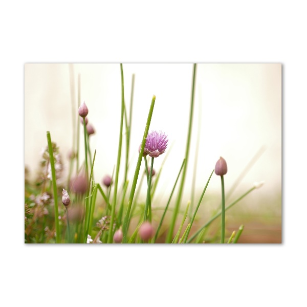 Cuadro metacrilato horizontal Cebollino