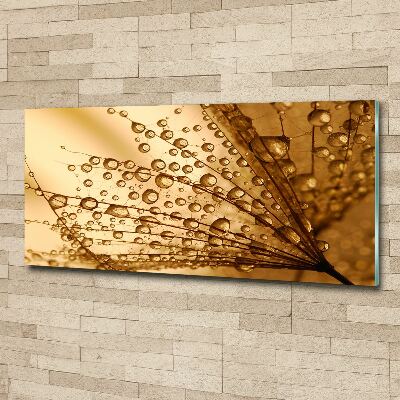 Pintura en acrílico horizontal semillas de diente de león